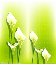 u=1311204517,2304177935&fm=21&gp=0.jpg