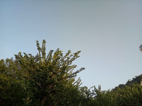 IMG20151122164503.jpg