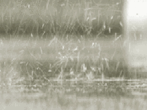8294427967c224a17634dd648dfda011.gif