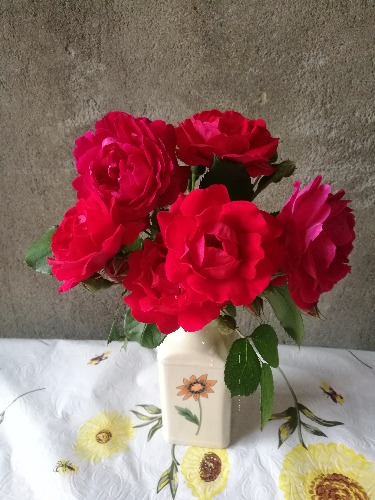 IMG_20180426_174512.jpg