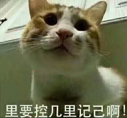 6411D06D-EE9E-42C3-8466-B18032D2746A.jpeg