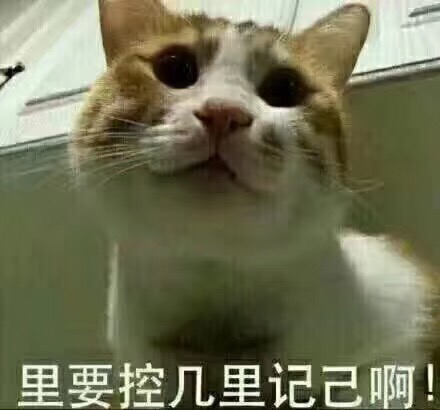 0B9977D9-BDD0-434C-A470-2DC93F990104.jpeg