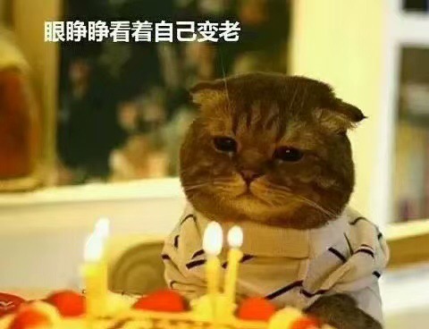 46AB53A2-CCB0-4C99-B32E-AB05A396E7FA.jpeg