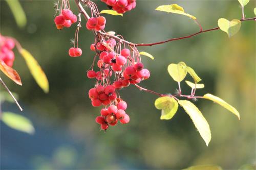 1IMG_0835.JPG