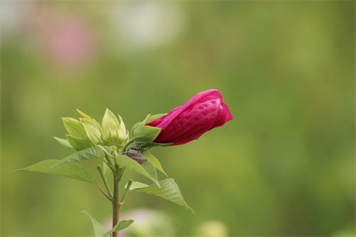 IMG_2577.JPG