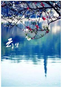 11.gif