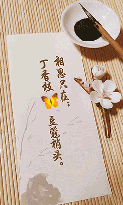 QQͼƬ20230303104913.gif
